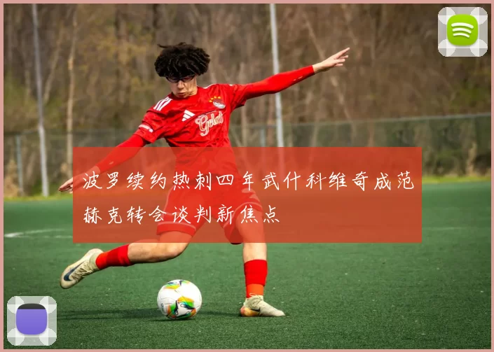 波罗续约热刺四年武什科维奇成范赫克转会谈判新焦点