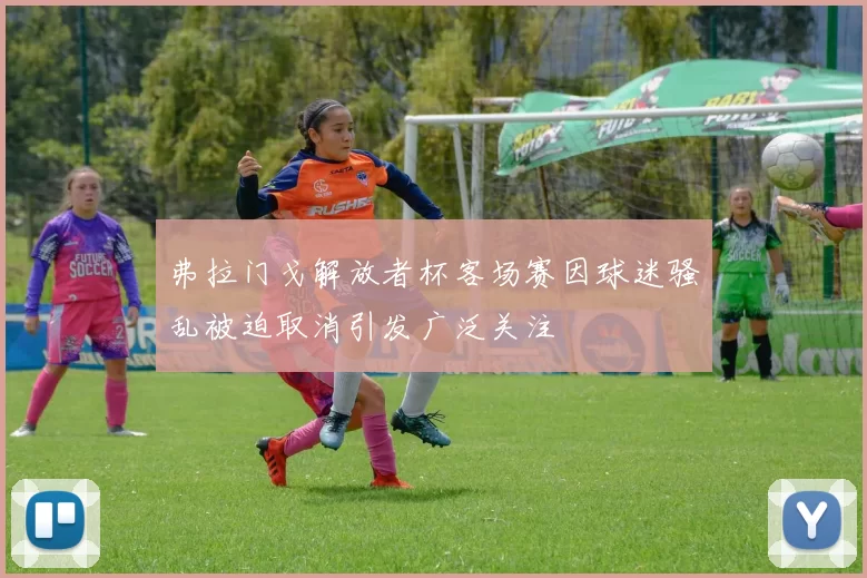 弗拉门戈解放者杯客场赛因球迷骚乱被迫取消引发广泛关注
