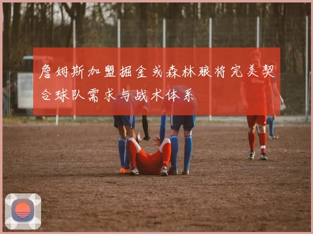 詹姆斯加盟掘金或森林狼将完美契合球队需求与战术体系